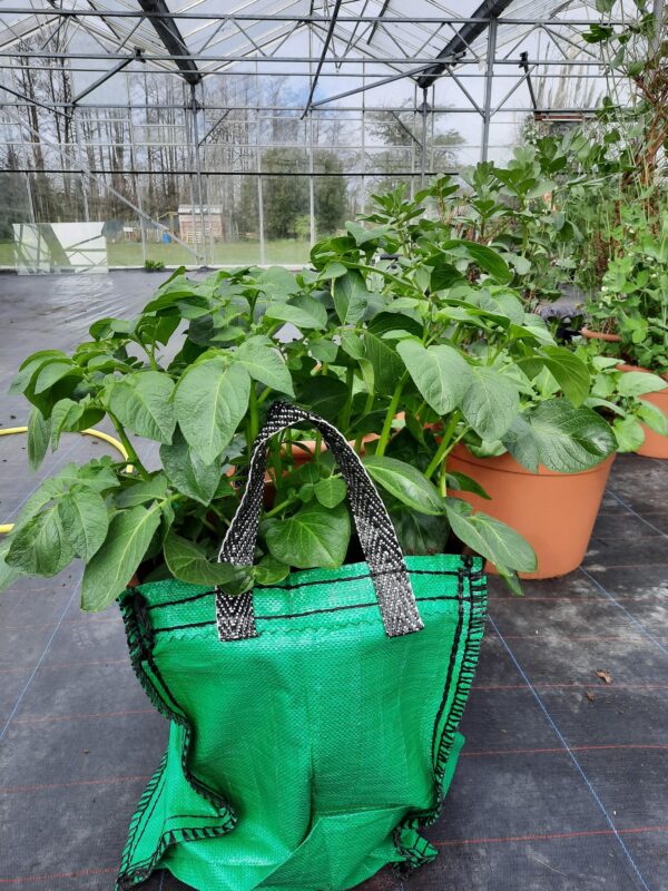Potato Grow Sack