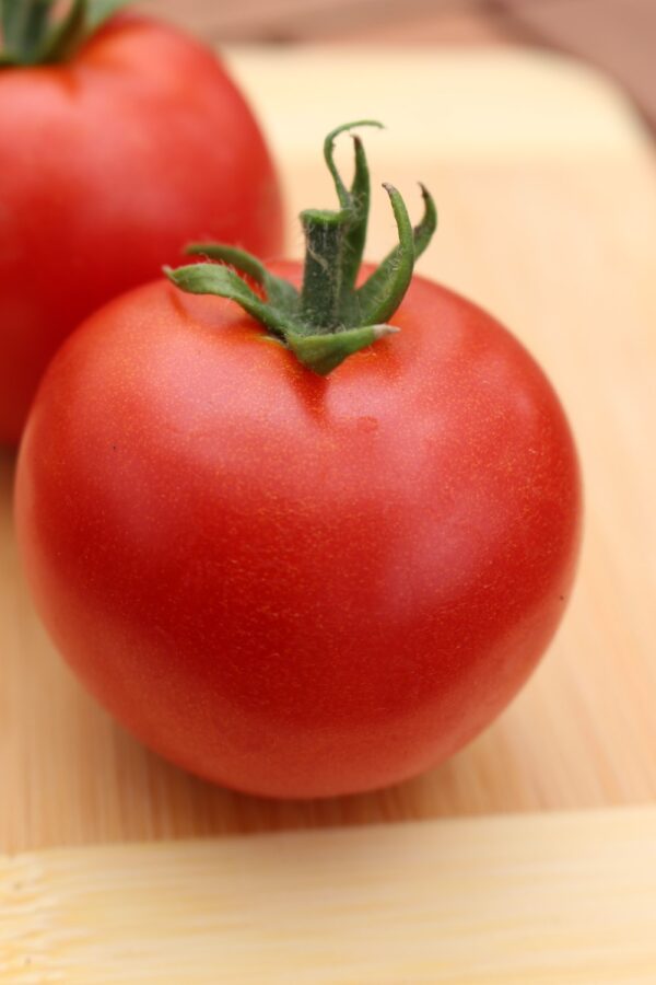 Tomato Gardeners Delight (2)