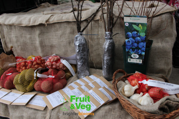 Allotment Fruit & Veg Starter Pack - Image 5
