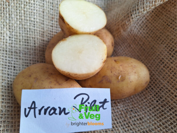 Seed Potato Arran Pilot - Image 6