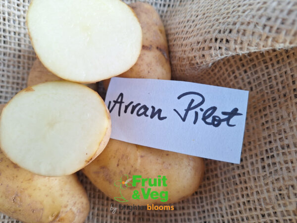 Seed Potato Arran Pilot