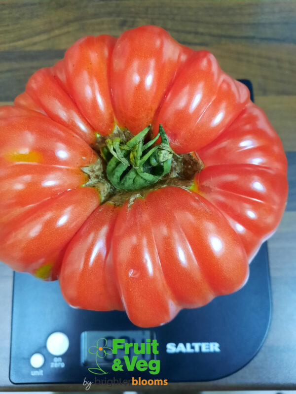 4 Tomato Beefmaster