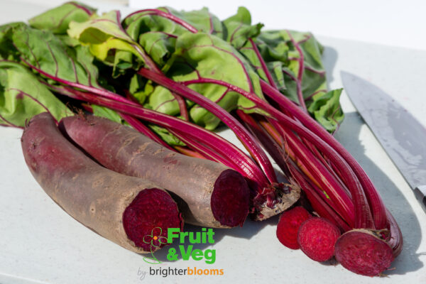 Beetroot Cylindra