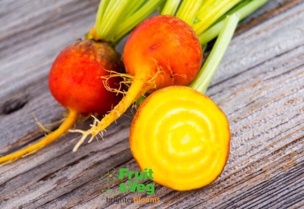 Beetroot Boldar Golden