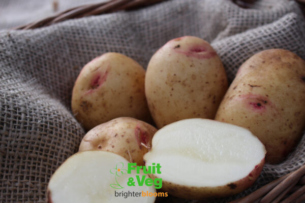 Seed Potato Cara - Image 4