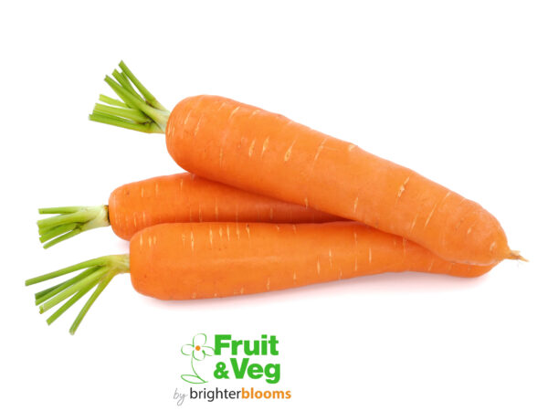 Carrot Nominator F1 (Early)