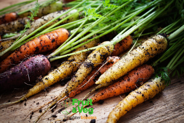 Carrot Rainbow F1 (Maincrop)