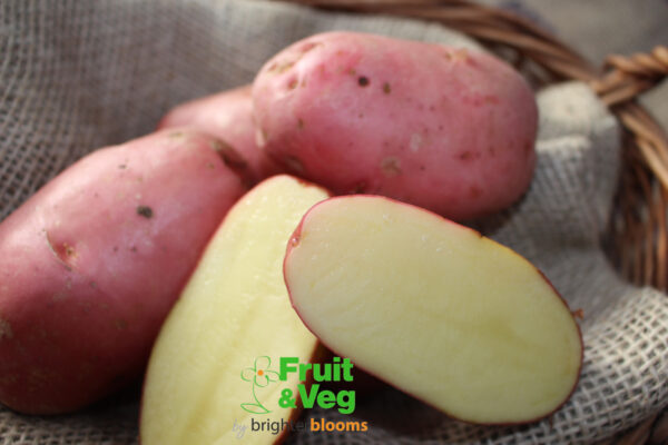Seed Potato Desiree - Image 3