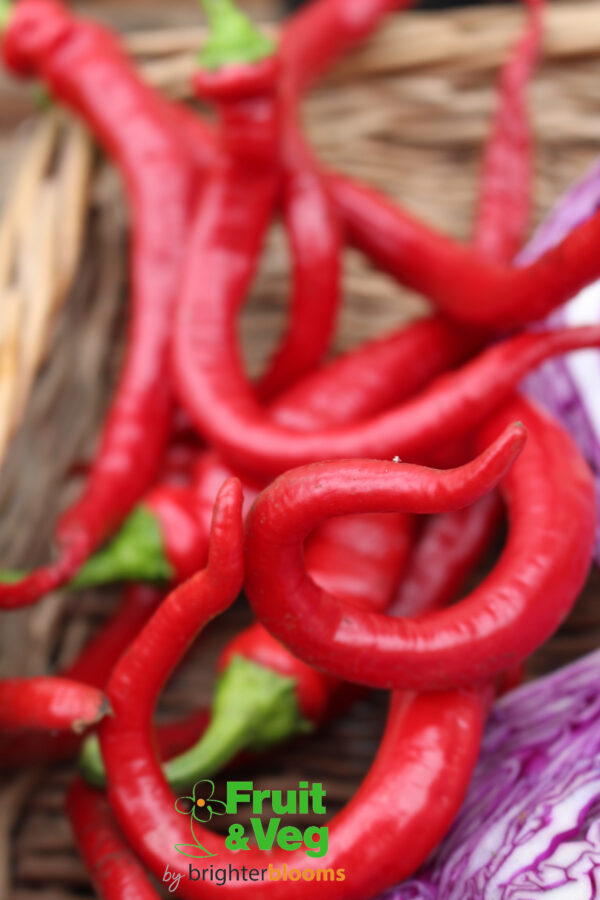 3 Pepper Dracula - Image 2