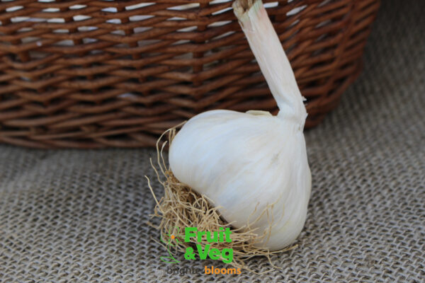 Garlic Solent Wight - Image 4