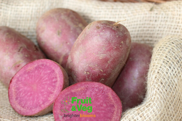 Seed Potato Heidi Red (Organic) - Image 3