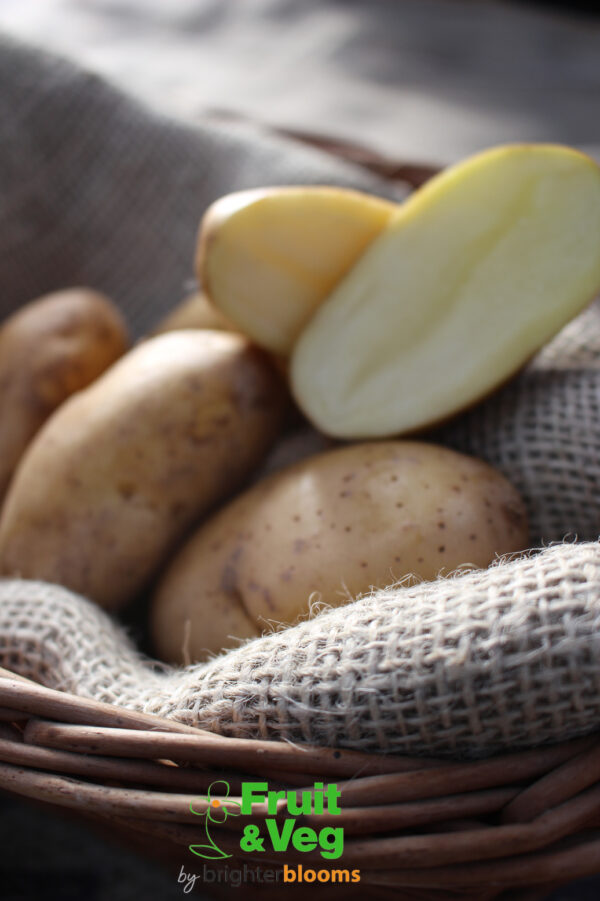 Seed Potato International Kidney - Image 3