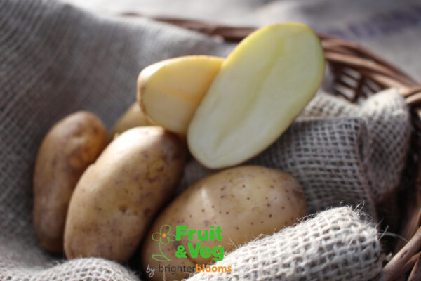 Seed Potato International Kidney - Image 4