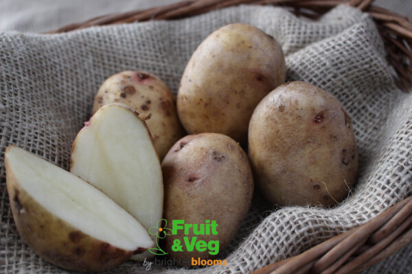 Seed Potato King Edward - Image 4