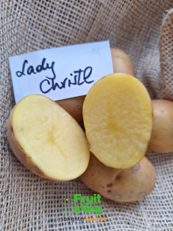 Seed Potato Lady Christl
