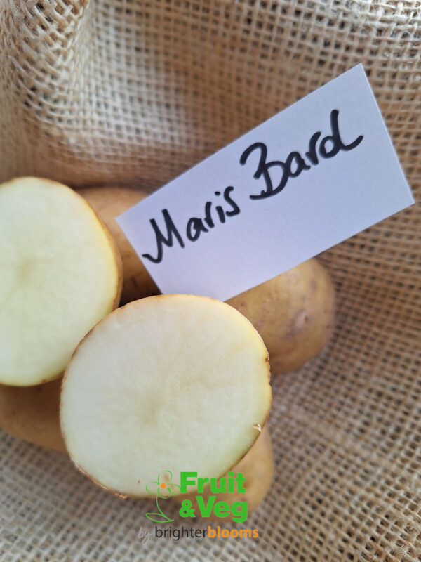 Seed Potato Maris Bard (Organic) - Image 5