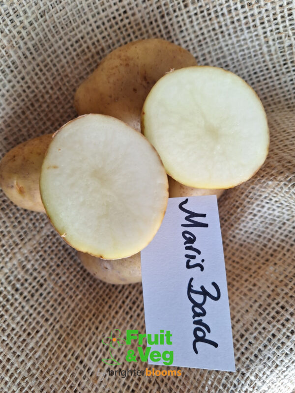 Seed Potato Maris Bard (Organic) - Image 4