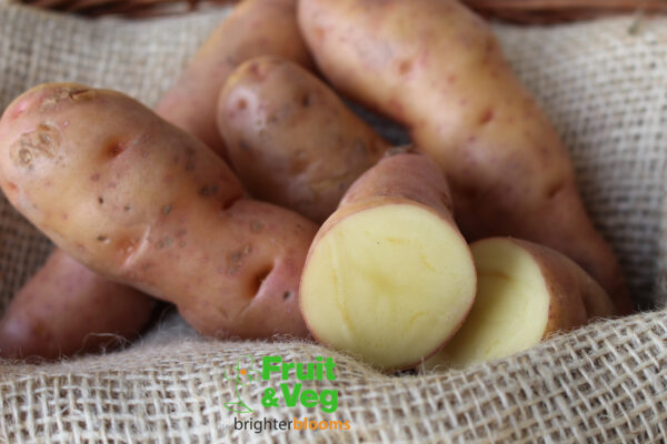 Seed Potato Pink Fir Apple - Image 4