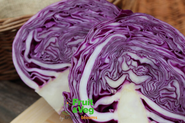 Cabbage Red Drumhead - Image 2