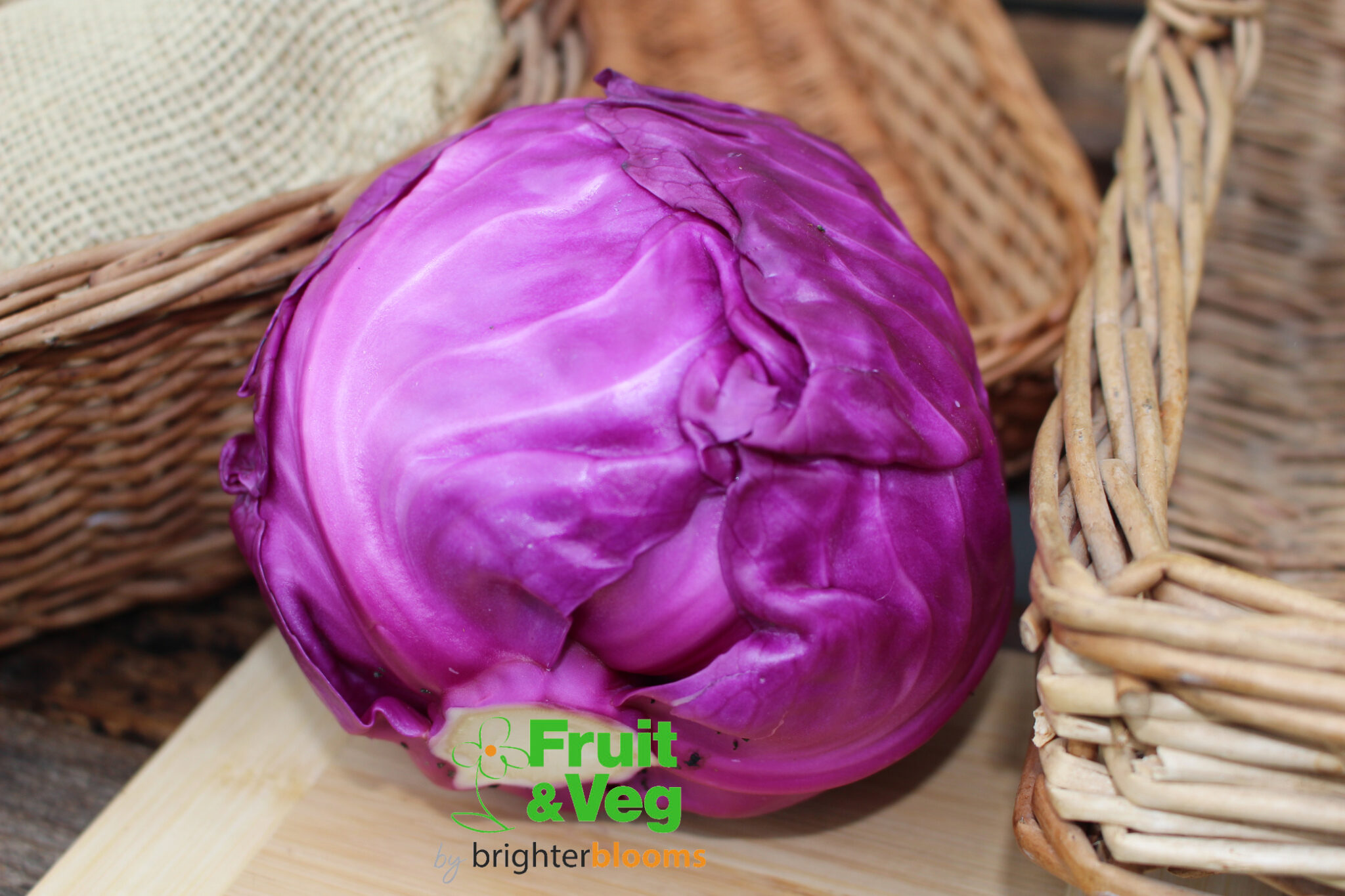Cabbage Red Drumhead Grow Veg & Fruit by Brighter Blooms