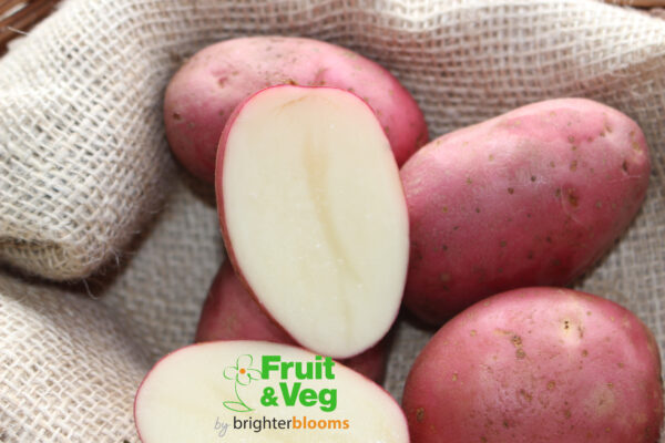 Seed Potato Robinta (Organic) - Image 3
