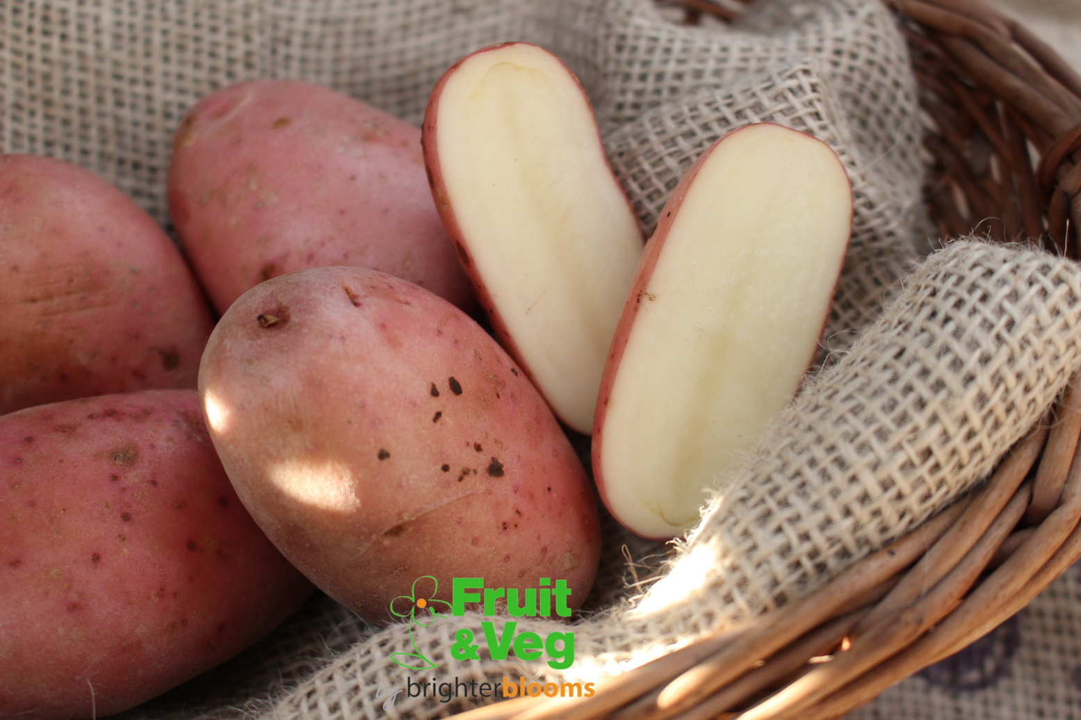 Seed Potato Sarpo Mira Grow Veg & Fruit by Brighter Blooms