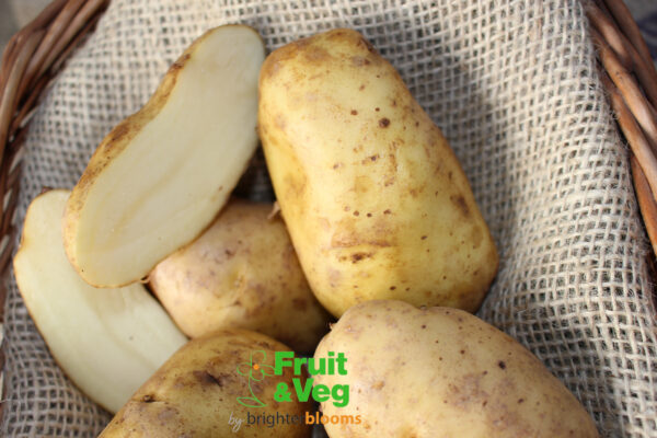 Seed Potato Sharpe's Express - Image 3