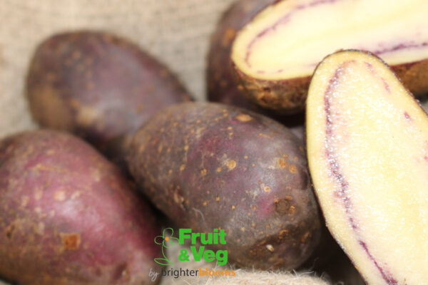 Seed Potato Shetland Black - Image 4