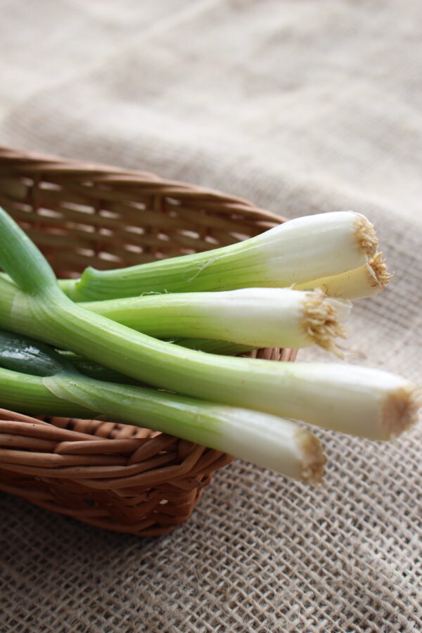 Spring Onion White Lisbon - Image 2