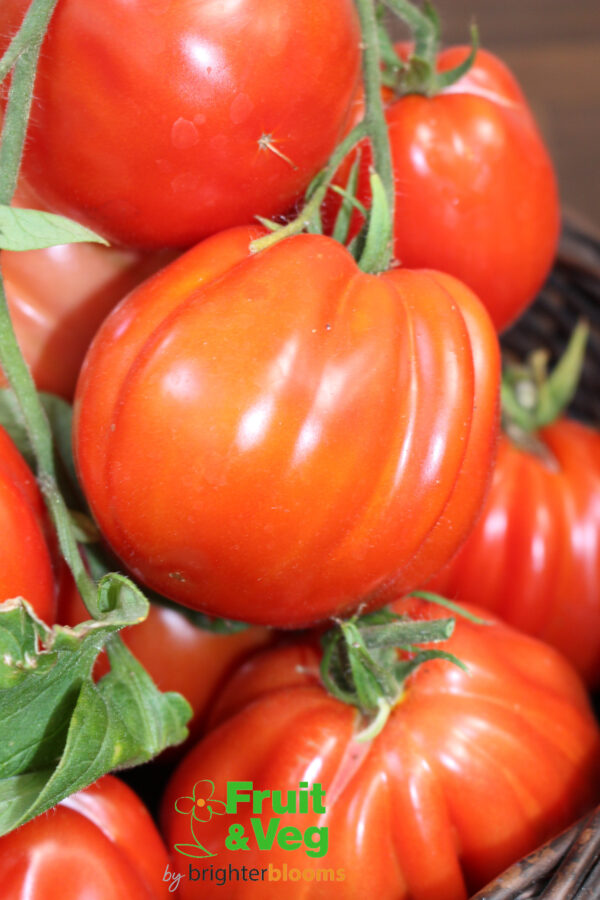 4 Tomato Red Pear