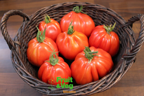 4 Tomato Red Pear - Image 3