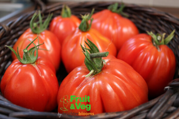 4 Tomato Red Pear - Image 4