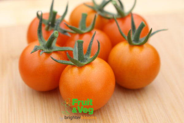 Tomato Sungold F1 (Golden)