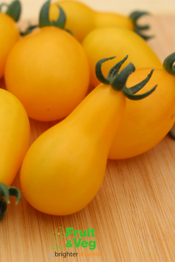 4 Tomato Yellow Pear