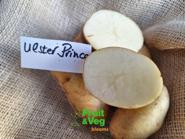 Seed Potato Ulster Prince - Image 4