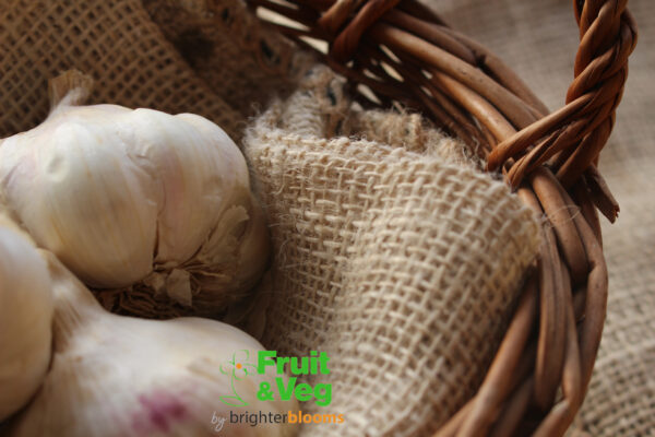 Garlic Vallelado - Image 6