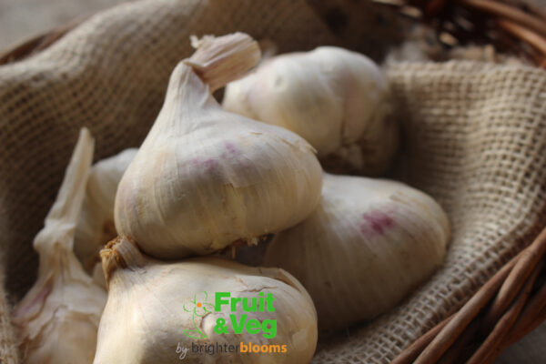 Garlic Vallelado