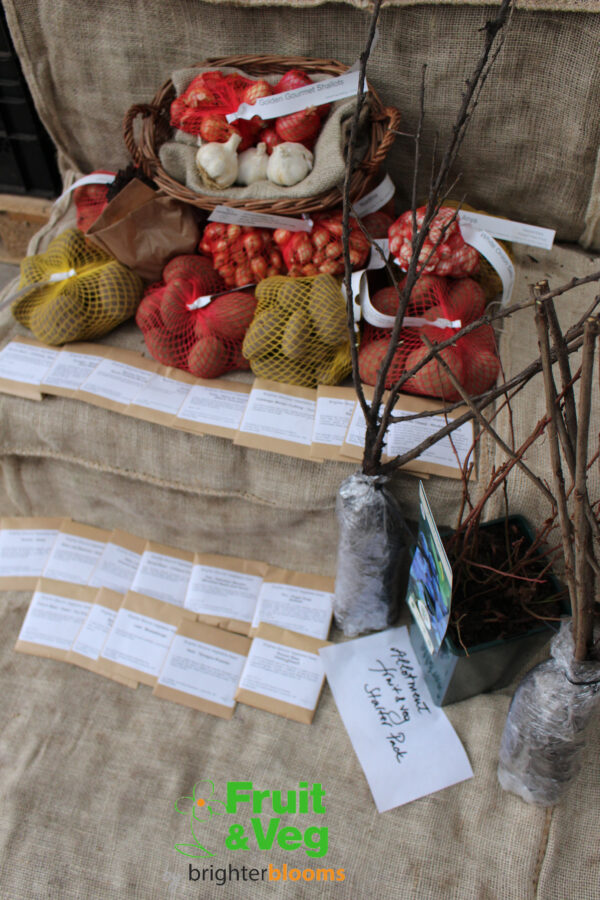 Allotment Fruit & Veg Starter Pack - Image 3