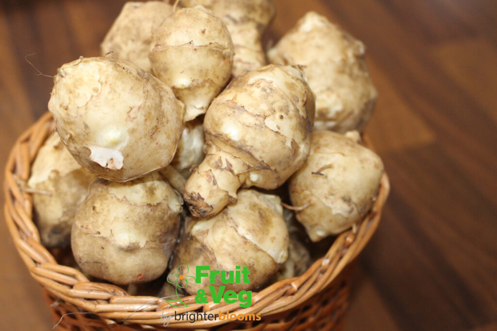 Jerusalem artichoke Tubers (3) Grow Veg & Fruit by Brighter Blooms
