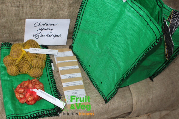 Container Growing Veg Starter Pack - Image 2