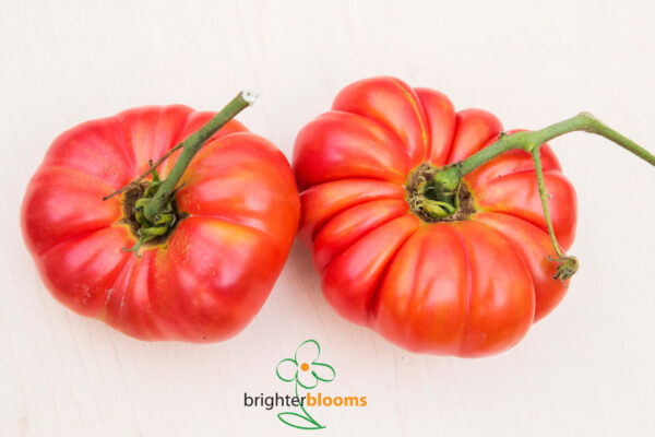 4 Tomato Brandywine