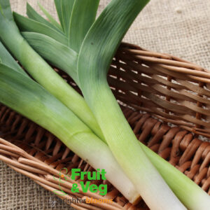 Leek