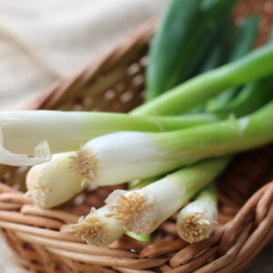 Spring onion