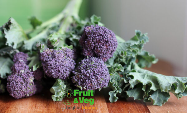 Sprouting Broccoli Summer Purple (June - October)