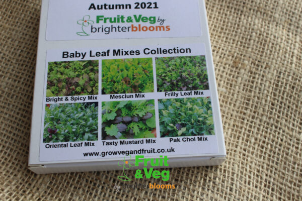 Baby Leaf Mixes Seed Collection