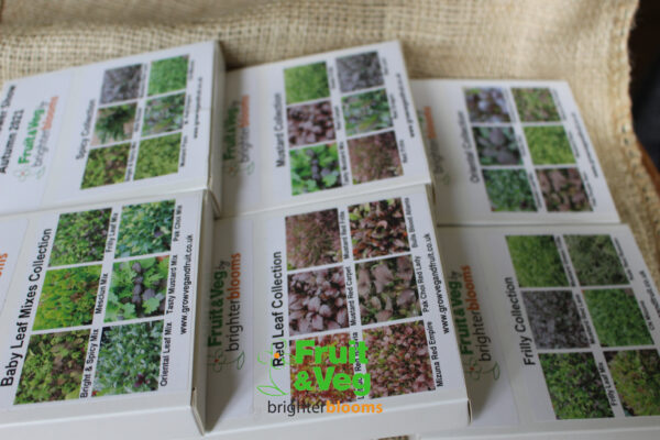 Baby Leaf Mixes Seed Collection - Image 3