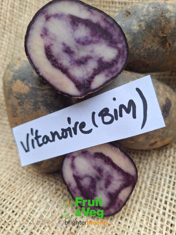Seed Potato Vitanoire (BIM)